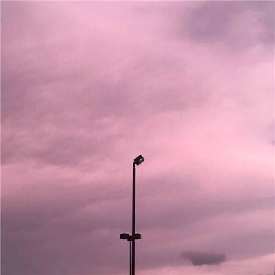 ag真人平台官方下载手机版