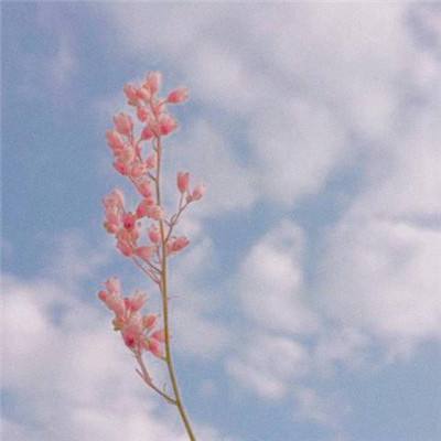 押注篮球的app下载手机版