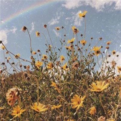 星空体育网站入口