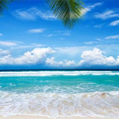 168极速赛车正规官方平台