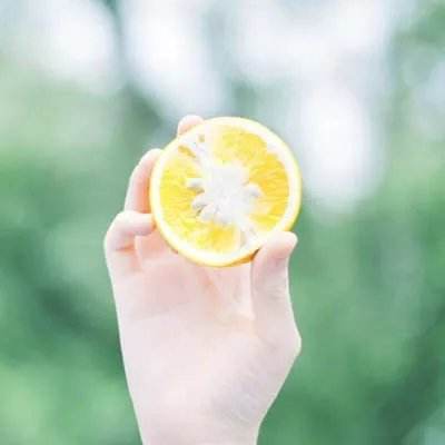 澳门一码一肖一特一中下载手机版