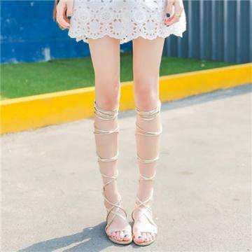 娱乐宝官网下载手机版